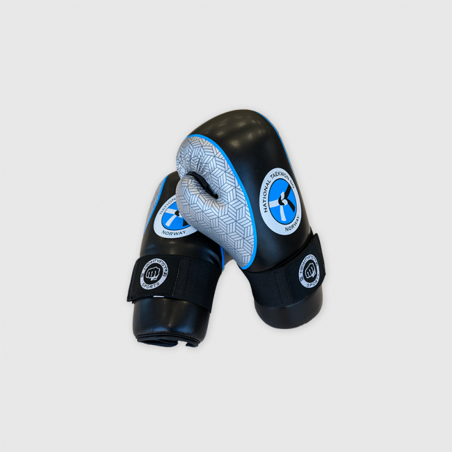 NTN Sparringshansker